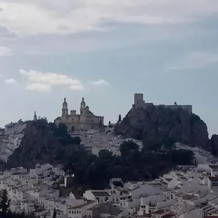 Paraiso En El Centro De
